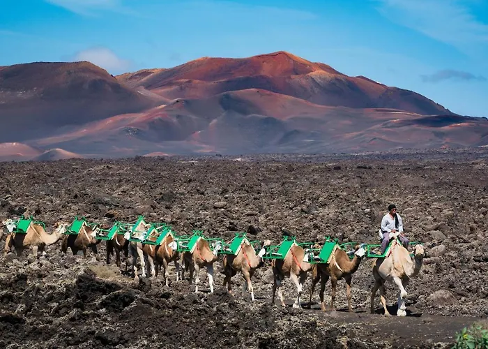 Relaxia Lanzasur Club - Aqualava Water Park 普拉亚布兰卡